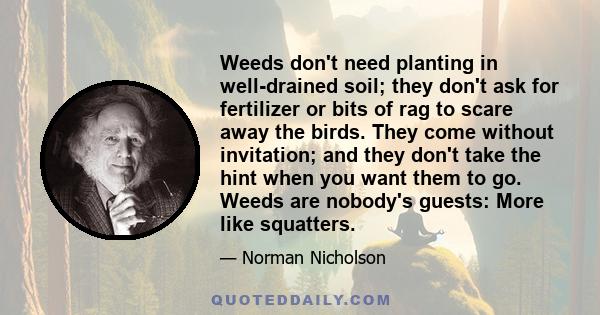 Weeds don't need planting in well-drained soil; they don't ask for fertilizer or bits of rag to scare away the birds. They come without invitation; and they don't take the hint when you want them to go. Weeds are