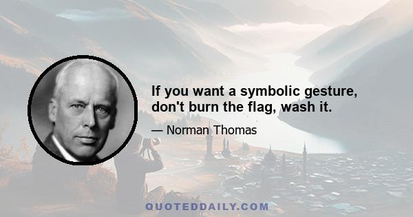 If you want a symbolic gesture, don't burn the flag, wash it.