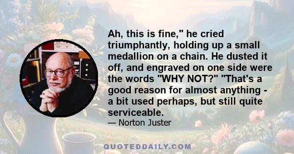 Ah, this is fine, he cried triumphantly, holding up a small medallion on a chain. He dusted it off, and engraved on one side were the words WHY NOT? That's a good reason for almost anything - a bit used perhaps, but