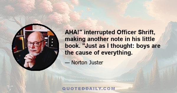 AHA! interrupted Officer Shrift, making another note in his little book. Just as I thought: boys are the cause of everything.