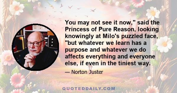 You may not see it now, said the Princess of Pure Reason, looking knowingly at Milo's puzzled face, but whatever we learn has a purpose and whatever we do affects everything and everyone else, if even in the tiniest way.