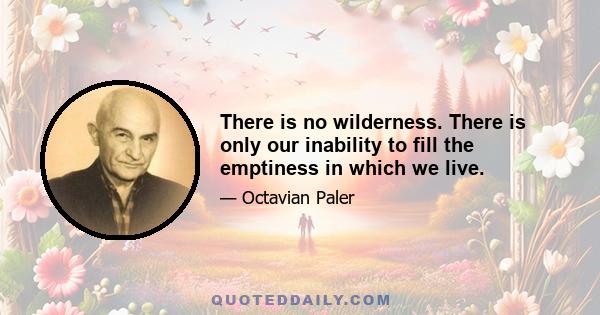 There is no wilderness. There is only our inability to fill the emptiness in which we live.