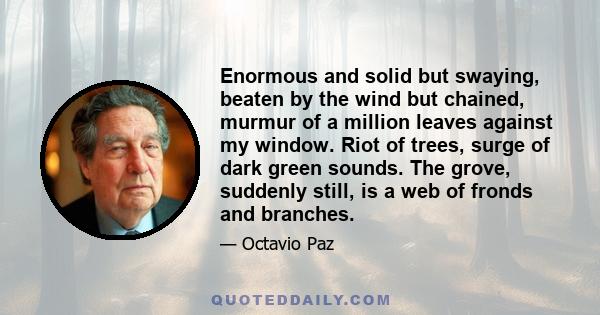 Enormous and solid but swaying, beaten by the wind but chained, murmur of a million leaves against my window. Riot of trees, surge of dark green sounds. The grove, suddenly still, is a web of fronds and branches.