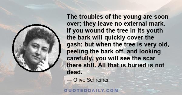 The troubles of the young are soon over; they leave no external mark. If you wound the tree in its youth the bark will quickly cover the gash; but when the tree is very old, peeling the bark off, and looking carefully,