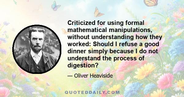 Criticized for using formal mathematical manipulations, without understanding how they worked: Should I refuse a good dinner simply because I do not understand the process of digestion?