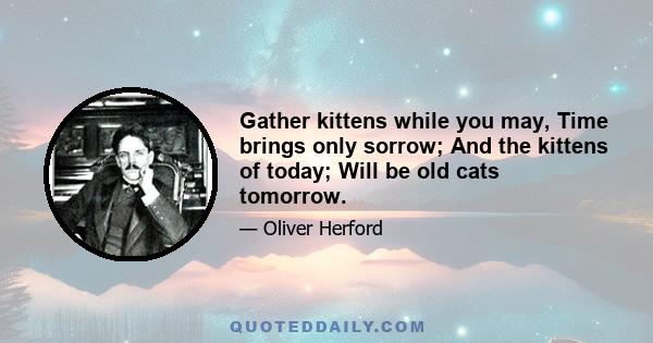 Gather kittens while you may, Time brings only sorrow; And the kittens of today; Will be old cats tomorrow.