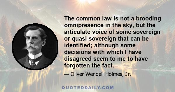 The common law is not a brooding omnipresence in the sky, but the articulate voice of some sovereign or quasi sovereign that can be identified; although some decisions with which I have disagreed seem to me to have