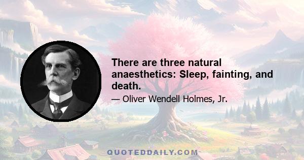 There are three natural anaesthetics: Sleep, fainting, and death.