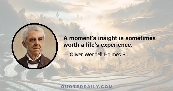 A moment's insight is sometimes worth a life's experience.