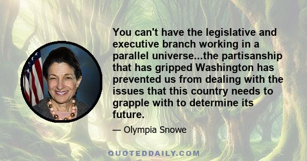 You can't have the legislative and executive branch working in a parallel universe...the partisanship that has gripped Washington has prevented us from dealing with the issues that this country needs to grapple with to