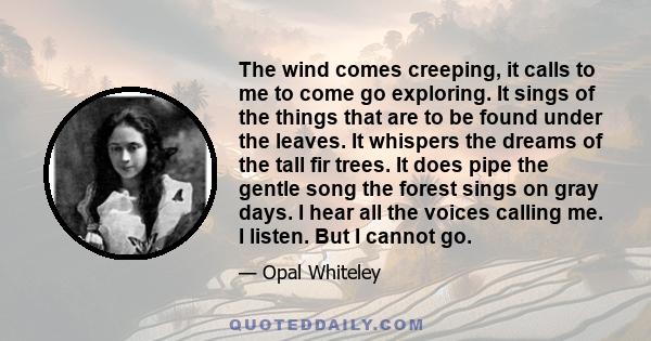 The wind comes creeping, it calls to me to come go exploring. It sings of the things that are to be found under the leaves. It whispers the dreams of the tall fir trees. It does pipe the gentle song the forest sings on