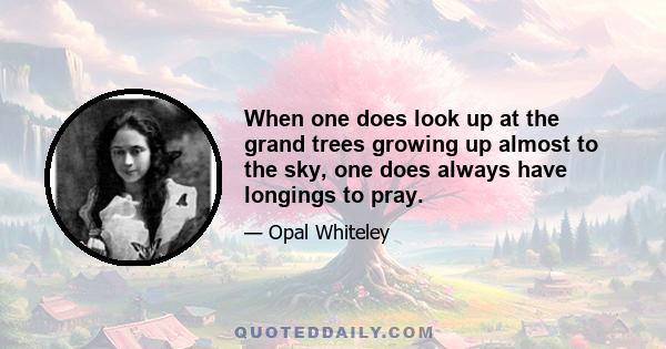 When one does look up at the grand trees growing up almost to the sky, one does always have longings to pray.