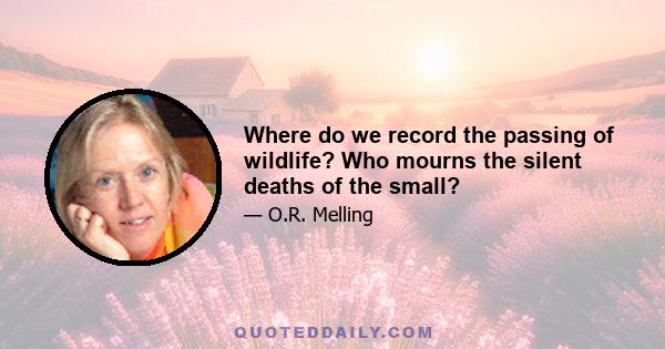 Where do we record the passing of wildlife? Who mourns the silent deaths of the small?