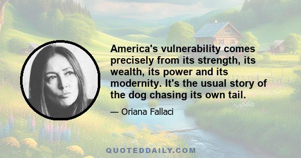 America's vulnerability comes precisely from its strength, its wealth, its power and its modernity. It's the usual story of the dog chasing its own tail.