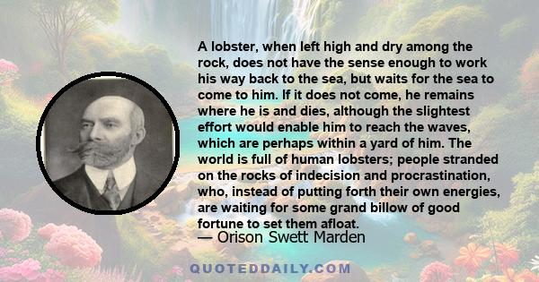 A lobster, when left high and dry among the rock, does not have the sense enough to work his way back to the sea, but waits for the sea to come to him. If it does not come, he remains where he is and dies, although the