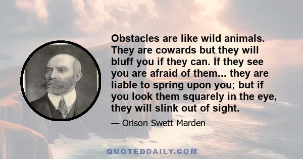 Obstacles are like wild animals. They are cowards but they will bluff you if they can. If they see you are afraid of them... they are liable to spring upon you; but if you look them squarely in the eye, they will slink