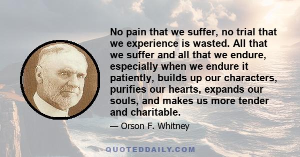 No pain that we suffer, no trial that we experience is wasted. All that we suffer and all that we endure, especially when we endure it patiently, builds up our characters, purifies our hearts, expands our souls, and