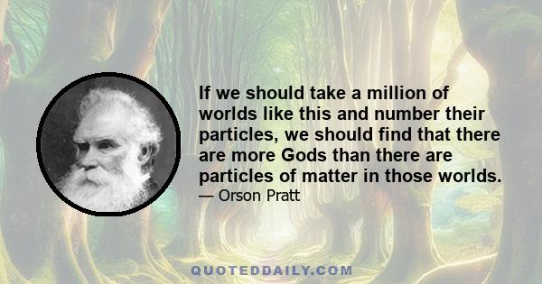 If we should take a million of worlds like this and number their particles, we should find that there are more Gods than there are particles of matter in those worlds.