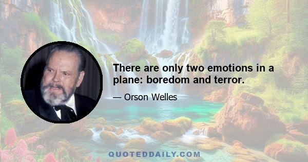 There are only two emotions in a plane: boredom and terror.