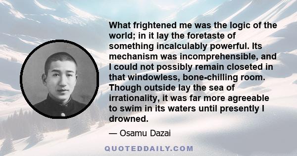 What frightened me was the logic of the world; in it lay the foretaste of something incalculably powerful. Its mechanism was incomprehensible, and I could not possibly remain closeted in that windowless, bone-chilling