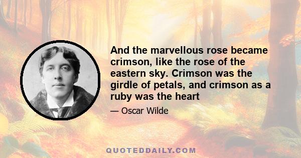 And the marvellous rose became crimson, like the rose of the eastern sky. Crimson was the girdle of petals, and crimson as a ruby was the heart