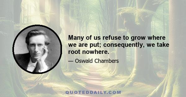 Many of us refuse to grow where we are put; consequently, we take root nowhere.