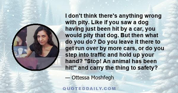 I don't think there's anything wrong with pity. Like if you saw a dog having just been hit by a car, you would pity that dog. But then what do you do? Do you leave it there to get run over by more cars, or do you step