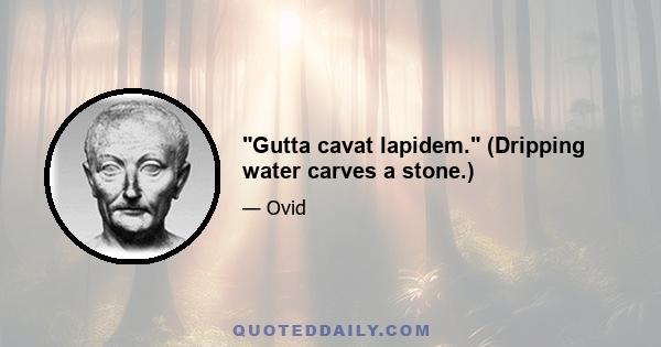 Gutta cavat lapidem. (Dripping water carves a stone.)