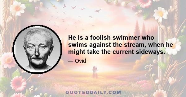 He is a foolish swimmer who swims against the stream, when he might take the current sideways.