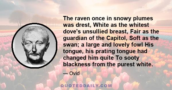 The raven once in snowy plumes was drest, White as the whitest dove's unsullied breast, Fair as the guardian of the Capitol, Soft as the swan; a large and lovely fowl His tongue, his prating tongue had changed him quite 