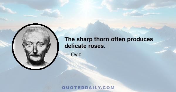 The sharp thorn often produces delicate roses.