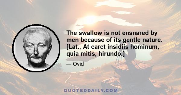 The swallow is not ensnared by men because of its gentle nature. [Lat., At caret insidiis hominum, quia mitis, hirundo.]