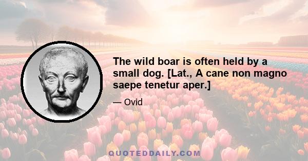 The wild boar is often held by a small dog. [Lat., A cane non magno saepe tenetur aper.]