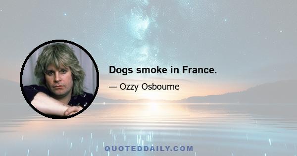 Dogs smoke in France.