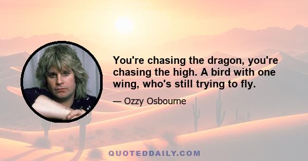 You're chasing the dragon, you're chasing the high. A bird with one wing, who's still trying to fly.