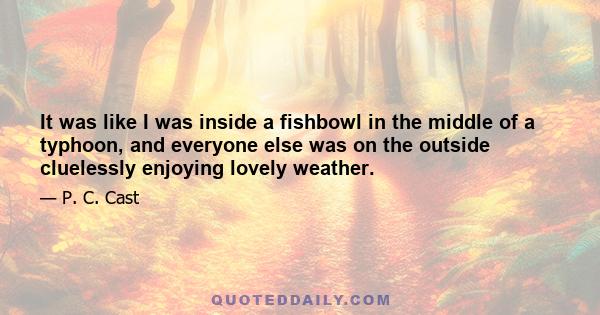 It was like I was inside a fishbowl in the middle of a typhoon, and everyone else was on the outside cluelessly enjoying lovely weather.