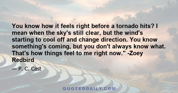 You know how it feels right before a tornado hits? I mean when the sky's still clear, but the wind's starting to cool off and change direction. You know something's coming, but you don't always know what. That's how