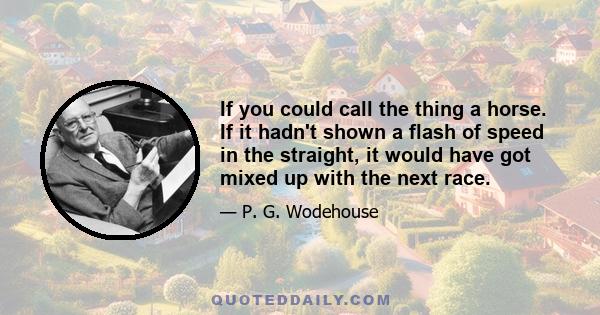 If you could call the thing a horse. If it hadn't shown a flash of speed in the straight, it would have got mixed up with the next race.