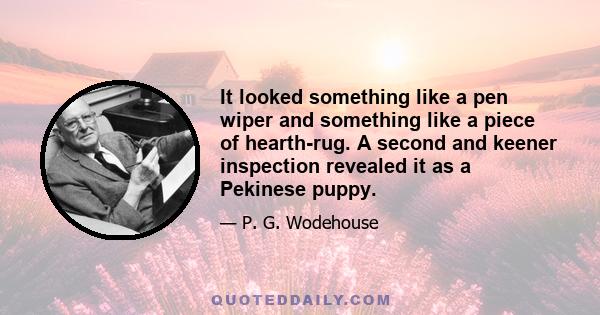 It looked something like a pen wiper and something like a piece of hearth-rug. A second and keener inspection revealed it as a Pekinese puppy.