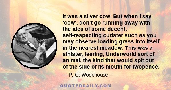 It was a silver cow. But when I say 'cow', don't go running away with the idea of some decent, self-respecting cudster such as you may observe loading grass into itself in the nearest meadow. This was a sinister,