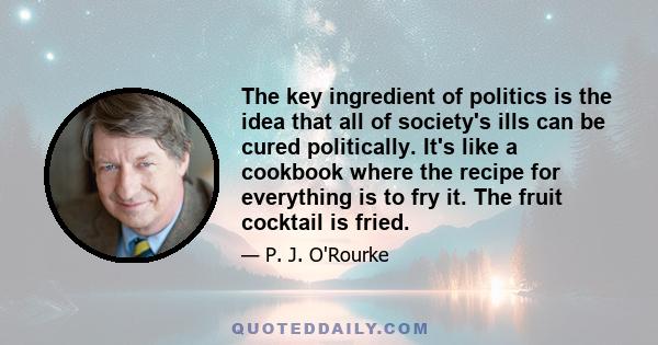 The key ingredient of politics is the idea that all of society's ills can be cured politically. It's like a cookbook where the recipe for everything is to fry it. The fruit cocktail is fried.