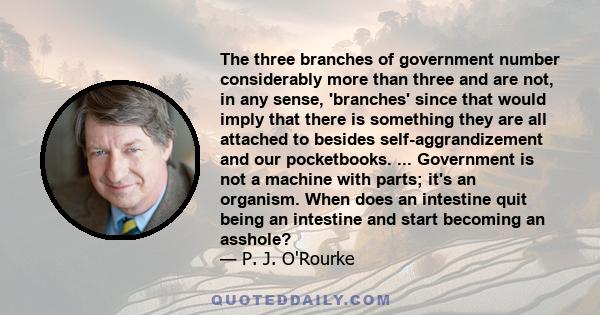 The three branches of government number considerably more than three and are not, in any sense, 'branches' since that would imply that there is something they are all attached to besides self-aggrandizement and our