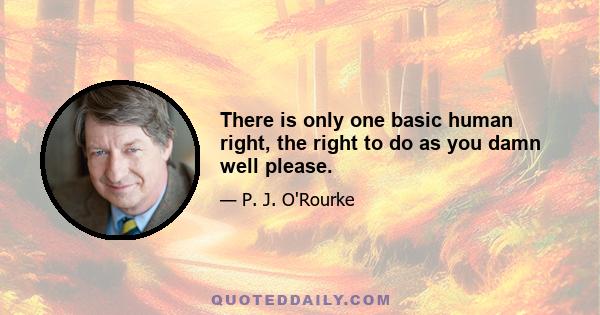 There is only one basic human right, the right to do as you damn well please.