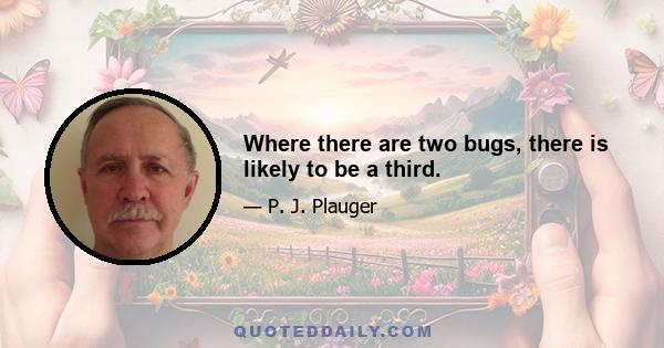 Where there are two bugs, there is likely to be a third.