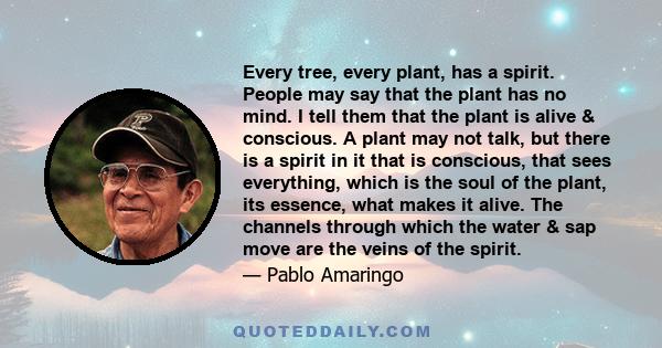 Every tree, every plant, has a spirit. People may say that the plant has no mind. I tell them that the plant is alive & conscious. A plant may not talk, but there is a spirit in it that is conscious, that sees