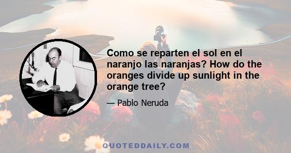 Como se reparten el sol en el naranjo las naranjas? How do the oranges divide up sunlight in the orange tree?