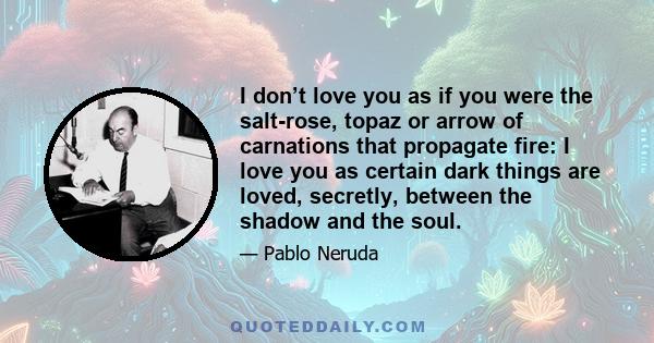 I don’t love you as if you were the salt-rose, topaz or arrow of carnations that propagate fire: I love you as certain dark things are loved, secretly, between the shadow and the soul.