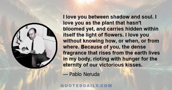 I love you between shadow and soul. I love you as the plant that hasn't bloomed yet, and carries hidden within itself the light of flowers. I love you without knowing how, or when, or from where. Because of you, the