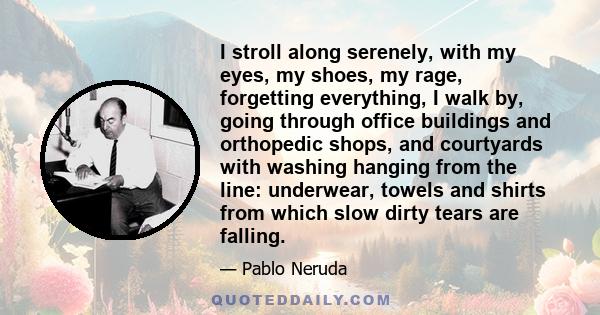 I stroll along serenely, with my eyes, my shoes, my rage, forgetting everything, I walk by, going through office buildings and orthopedic shops, and courtyards with washing hanging from the line: underwear, towels and