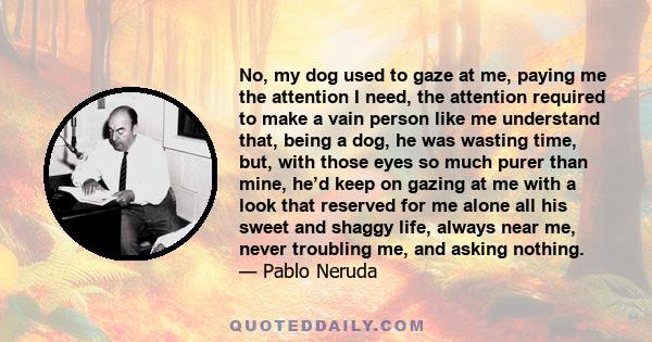 No, my dog used to gaze at me, paying me the attention I need, the attention required to make a vain person like me understand that, being a dog, he was wasting time, but, with those eyes so much purer than mine, he’d